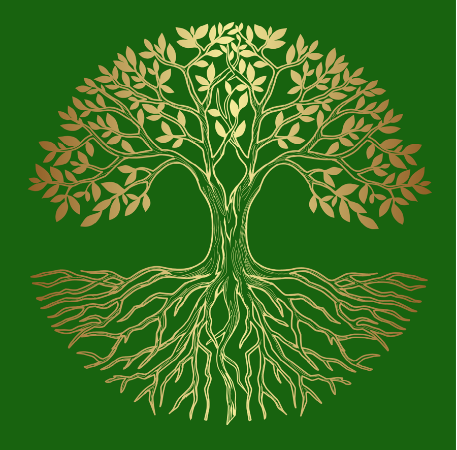 Privātā pamatskola Peripatētika